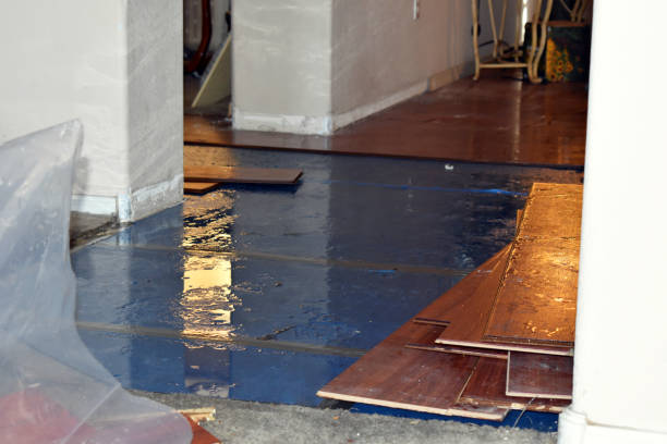 Professional Basement Water Removal technician working in Blum, TX